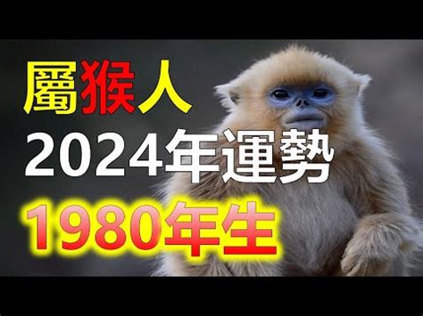 1980屬猴2023運勢|【1980猴】1980猴命運解讀！五行屬性與2023年運勢全攻略